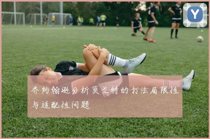 乔约翰逊分析莫兰特的打法局限性与适配性问题