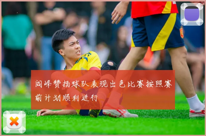 阎峰赞扬球队表现出色比赛按照赛前计划顺利进行